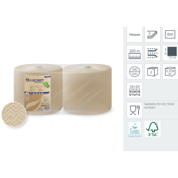 LUCART 3 STR LAVETA INDUSTRIALA ECONAT 2 ROLE/BAX